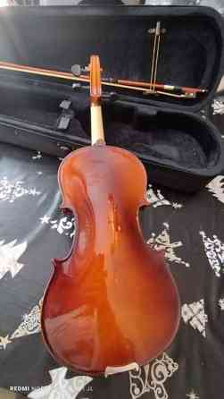 Viulu setti aikuiselle, UUSI Turku