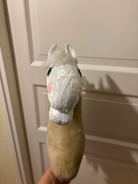 Valkopää keppari Savonlinna - valokuva 2