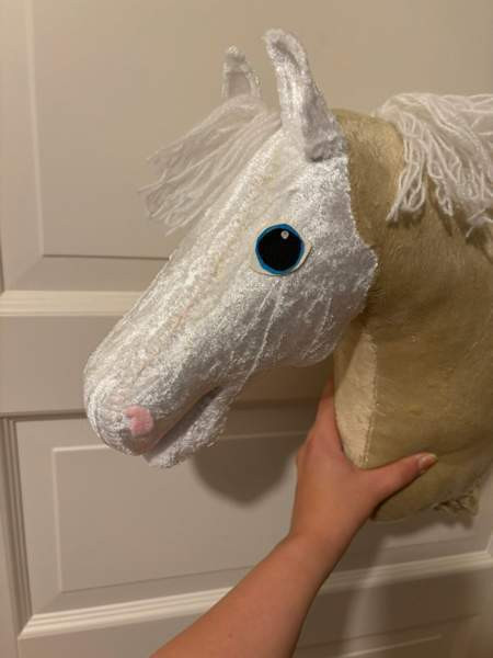 Valkopää keppari Savonlinna - valokuva 4