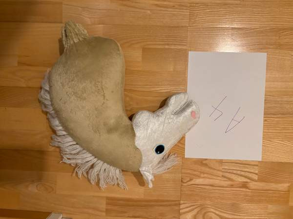 Valkopää keppari Savonlinna - valokuva 5