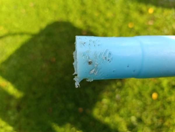 Pesuamme koirille Kaskinen - photo 3