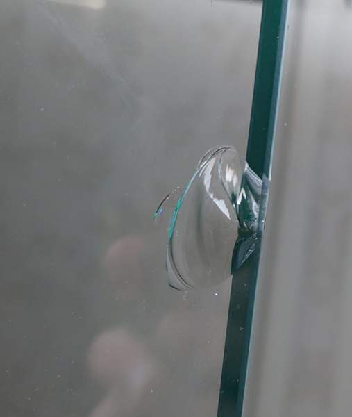 Korkea terraario Jyväskylä - valokuva 5