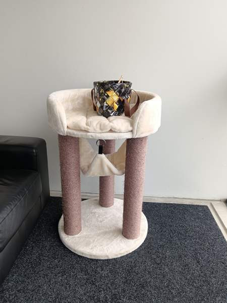 Raapimapuu Oulu - photo 2