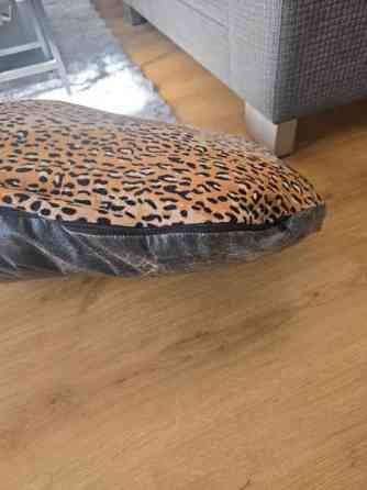 Koiran peti Lempaeaelae