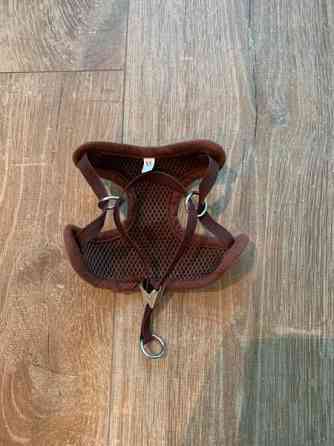 Koiran valjaat xs Vantaa