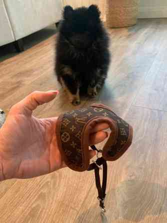 Koiran valjaat xs Vantaa