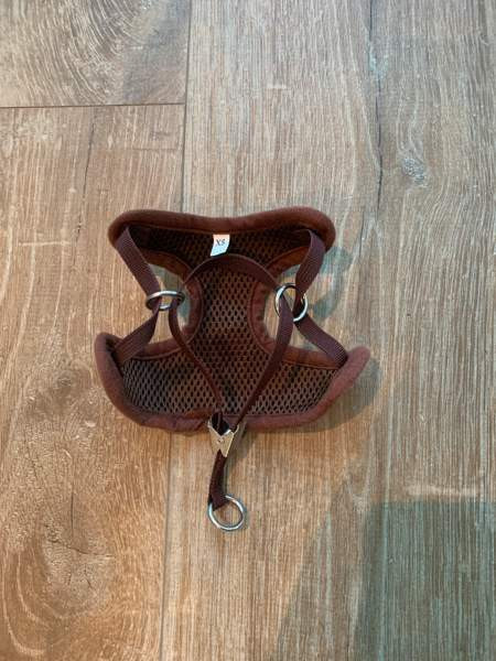 Koiran valjaat xs Vantaa - photo 2