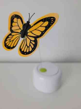 Kissan aktivointilelu  3kpl yht 20e Turku