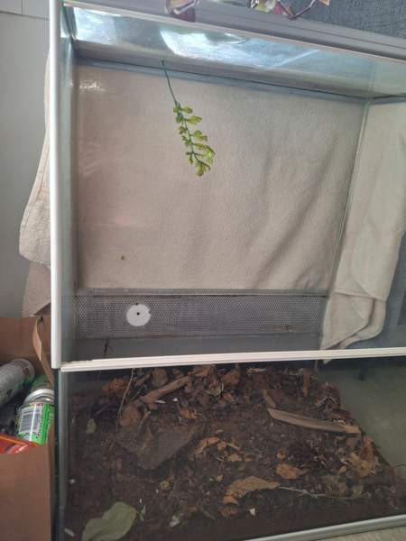 Liukuovi Terraario Tampere - valokuva 2