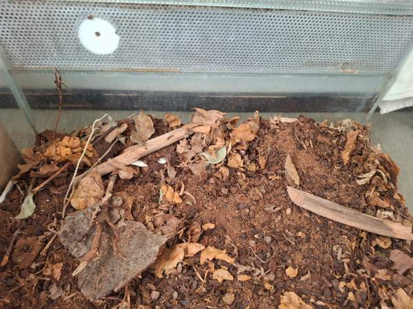 Liukuovi Terraario Tampere - valokuva 3