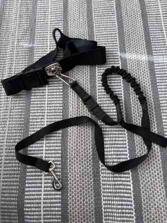 Trixie koiran talutusvyö Espoo