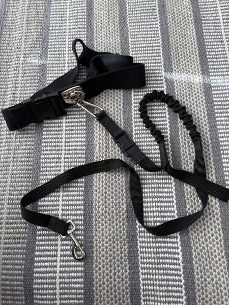 Trixie koiran talutusvyö Espoo - valokuva 1