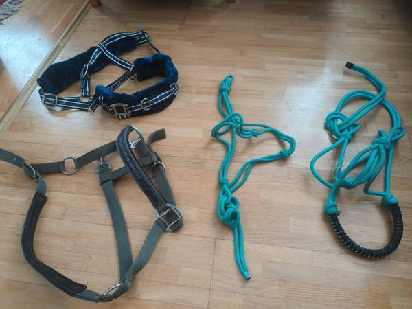 Riimuja, koko Cob Tampere - valokuva 1