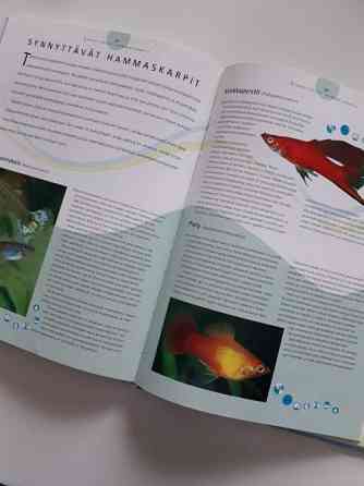 Värikäs akvaario kirja Lieto