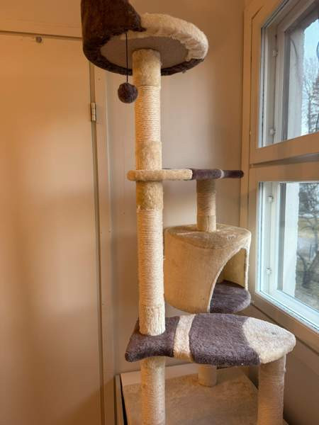 Raapimispuu Vantaa - photo 2