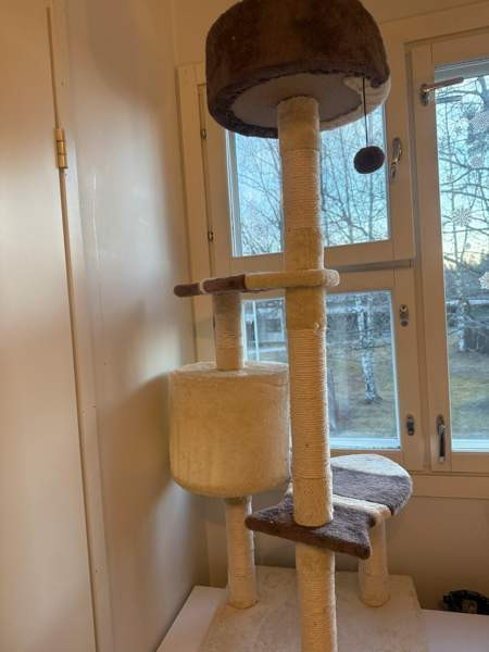 Raapimispuu Vantaa - photo 3