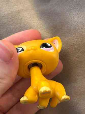 Myydään Lps kissa Lahti