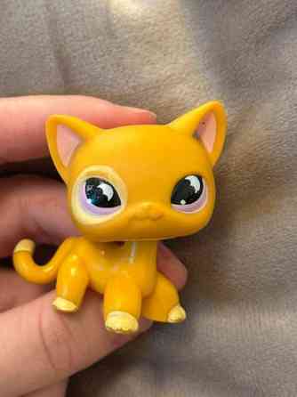 Myydään Lps kissa Lahti