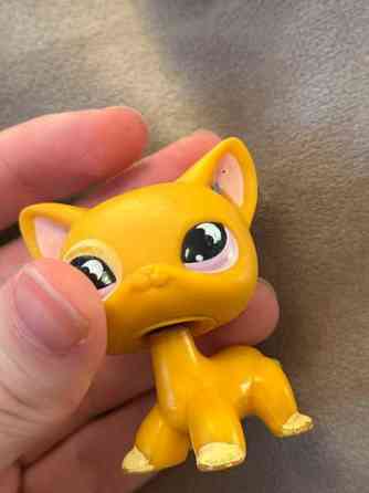 Myydään Lps kissa Lahti