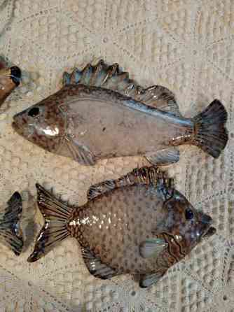 Seinäkoristeet Espoo