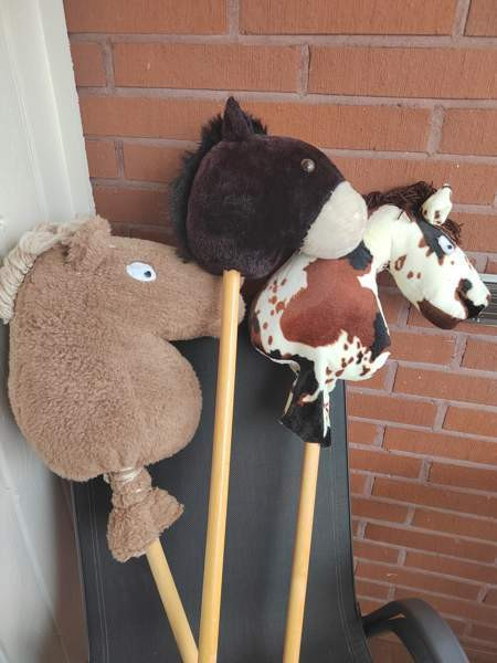 Keppihevoset Райсио - изображение 1