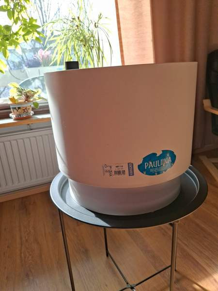 Kukkaruukku Akaa – foto 1