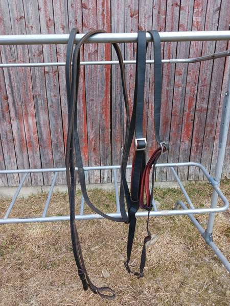 Ajo-ohjat Alavus - valokuva 1