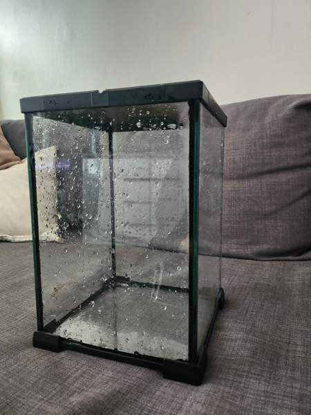 Pieni terraario Jaervenpaeae – foto 1