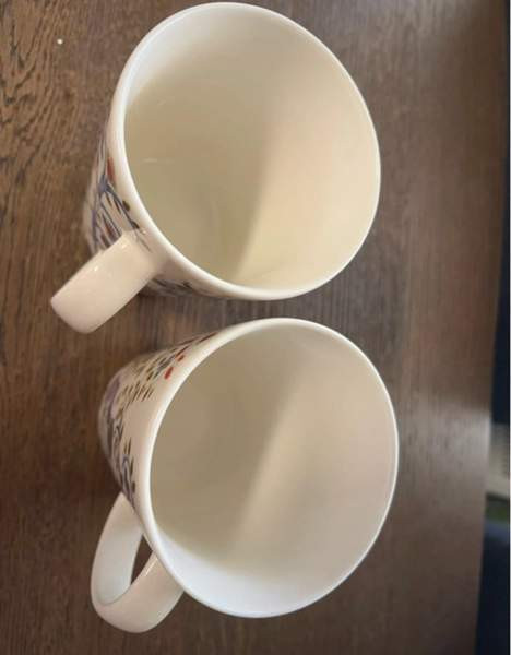 2 kpl Iittalan Taika mukia Haemeenlinna – foto 3