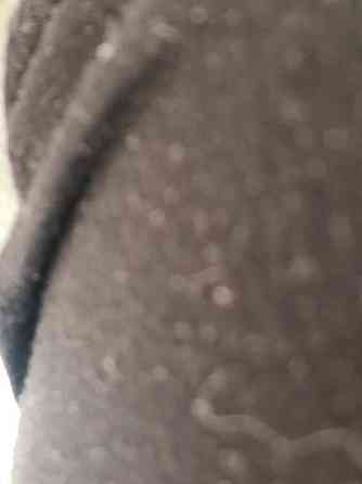 Pomar koko 40 Haemeenlinna