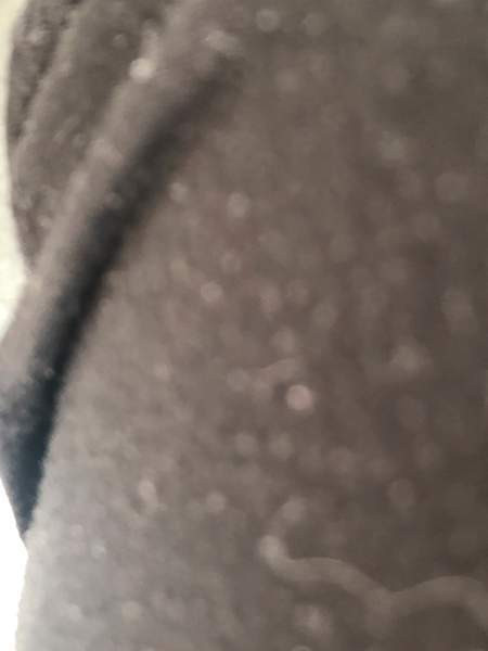 Pomar koko 40 Haemeenlinna – foto 4