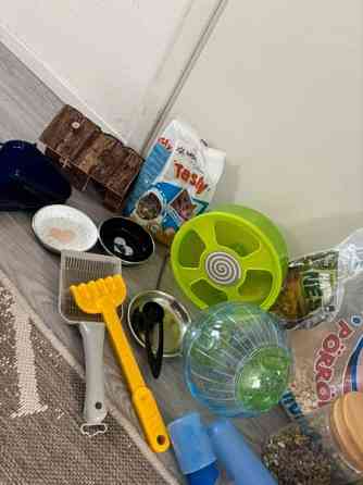 Hamsterin häkki ja tarvikkeita Kempele