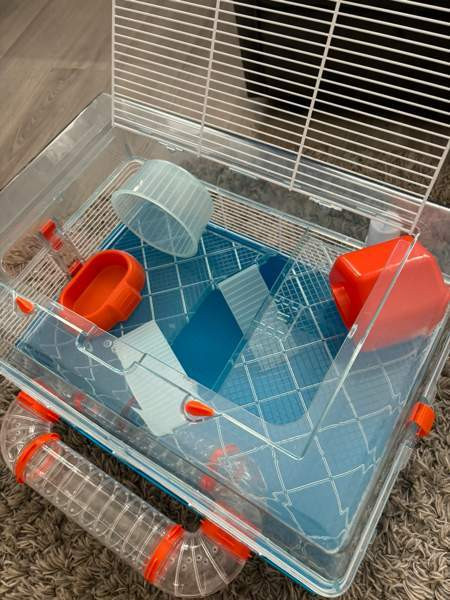 Hamsterin häkki ja tarvikkeita Kempele – foto 3