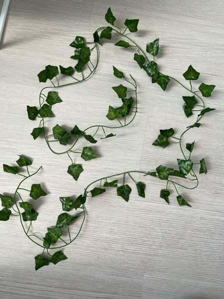 Koristeköynnös Salo - photo 2