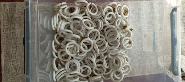 Valkoisia verhonrenkaita Maentsaelae - photo 2