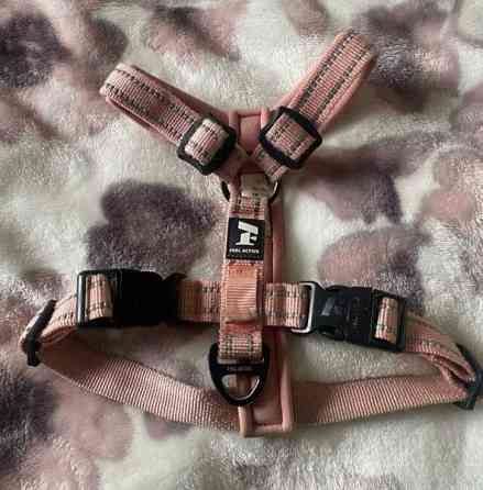 Pehmustetut Feel Active vaaleanpunaiset valjaat pikkukoiralle Lempaeaelae