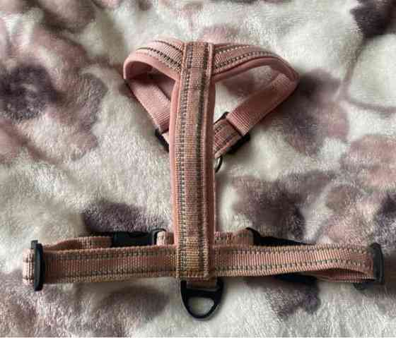 Pehmustetut Feel Active vaaleanpunaiset valjaat pikkukoiralle Lempaeaelae