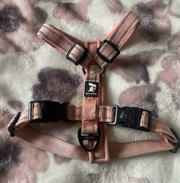 Pehmustetut Feel Active vaaleanpunaiset valjaat pikkukoiralle Lempaeaelae - photo 1