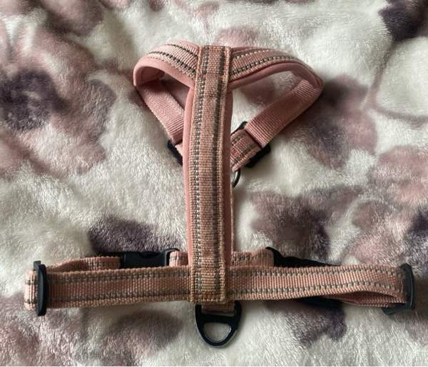 Pehmustetut Feel Active vaaleanpunaiset valjaat pikkukoiralle Lempaeaelae - photo 2