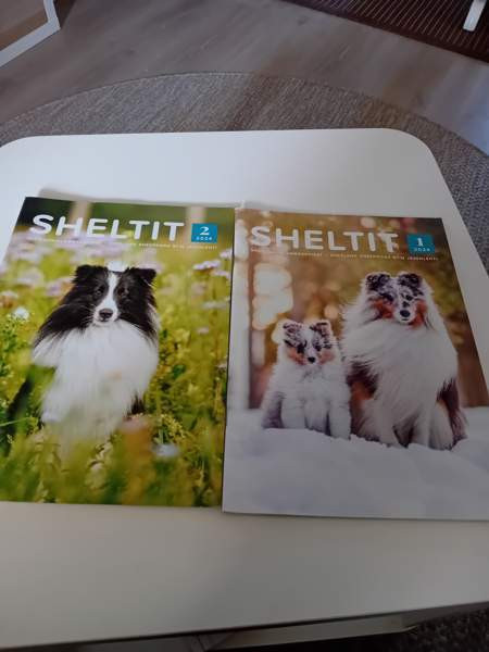 Sheltti lehdet Oulu - valokuva 4