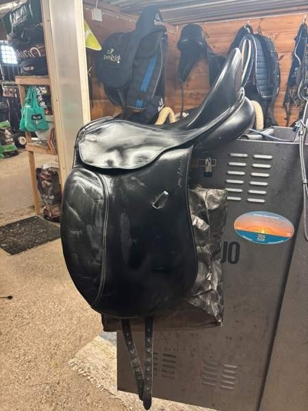 Kieffer koulusatula Lapua – foto 1