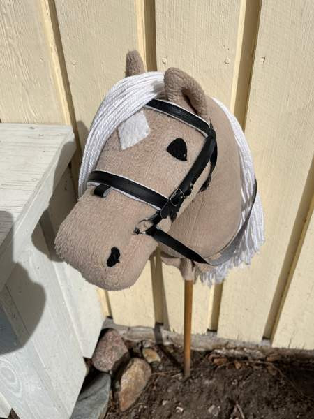 Keppihevonen Kerava - valokuva 4