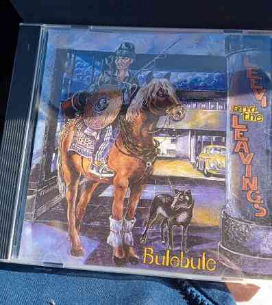 Leevi and the leavings: Bulebule Joensuu