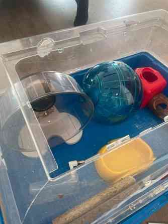 Hamsterin häkki ja tarvikkeet. Helsinki