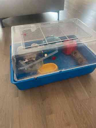 Hamsterin häkki ja tarvikkeet. Helsinki