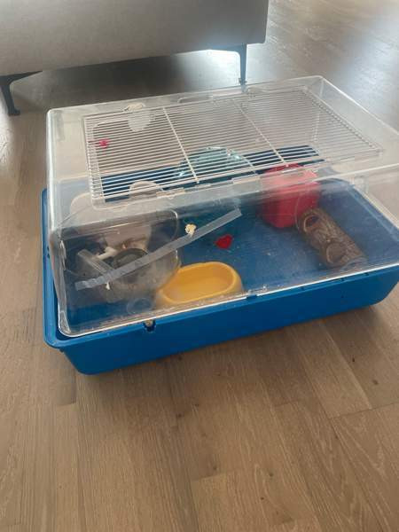 Hamsterin häkki ja tarvikkeet. Helsinki - изображение 1
