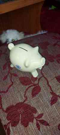 Säästölipas Kalajoki