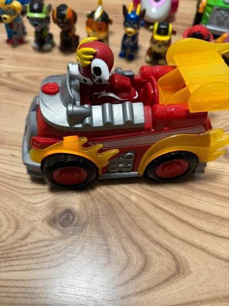 Ryhmä Hau pennut Tampere - photo 5