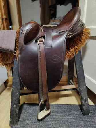 Australialainen karjasatula Petäjävesi