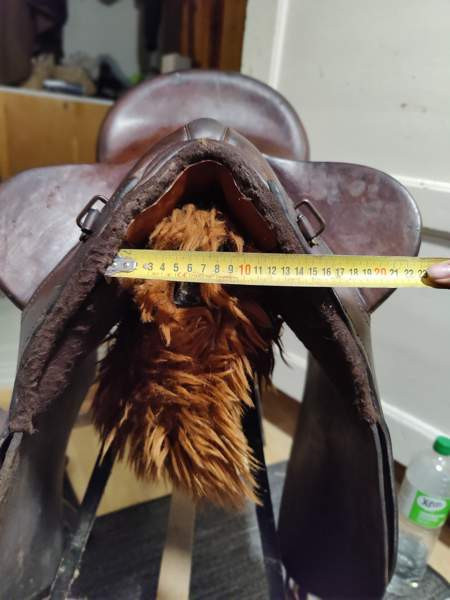 Australialainen karjasatula Petäjävesi – foto 4